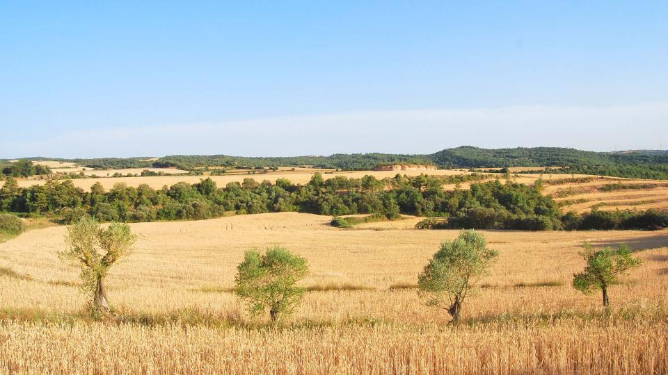 25.6.2016 paisatge  Sant Serni -  Ramon Sunyer