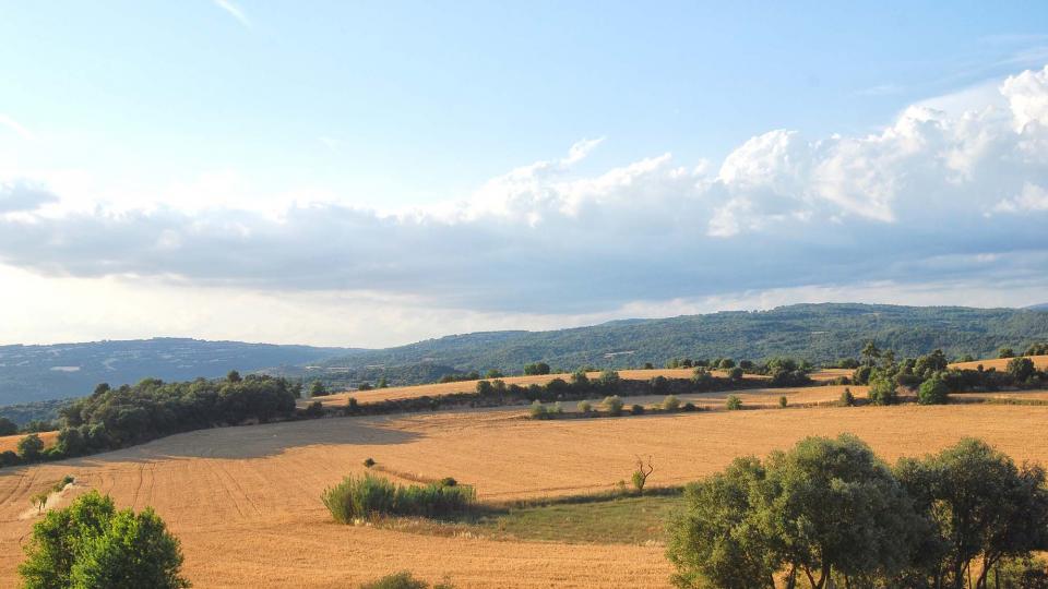 25.6.2016 paisatge  Sant Serni -  Ramon Sunyer