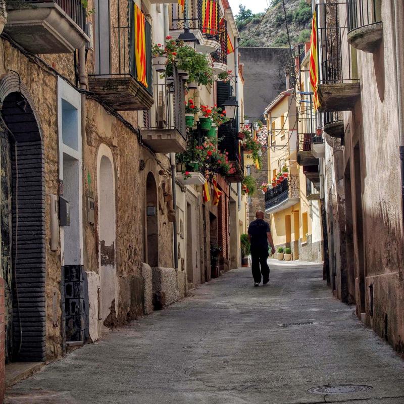 15.8.2015 carrer  Castellfollit de Riubregós -  Ramon Sunyer