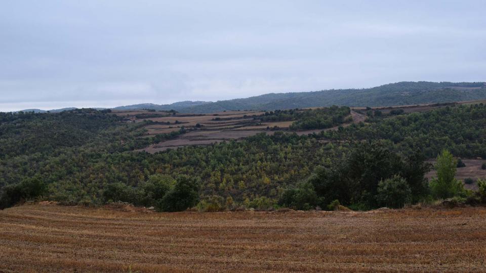 22 de Octubre de 2016 paisatge  Fontanet -  Ramon Sunyer