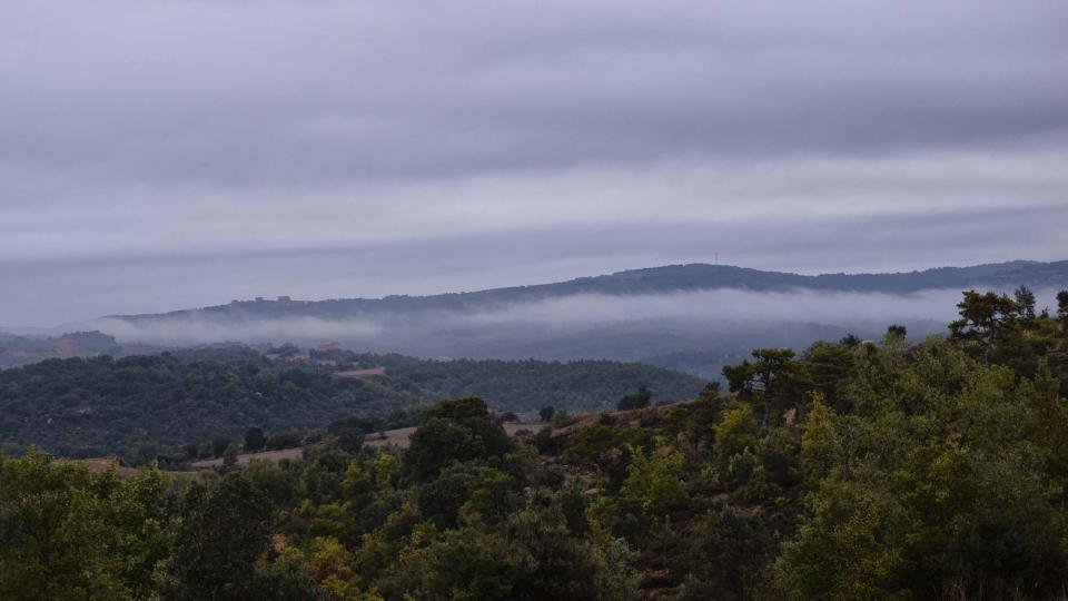 22 de Octubre de 2016 boira a Vallferosa  Fontanet -  Ramon Sunyer