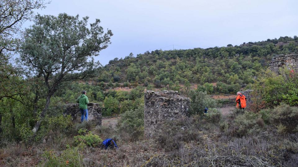 22 de Octubre de 2016 paisatge  Fontanet -  Ramon Sunyer