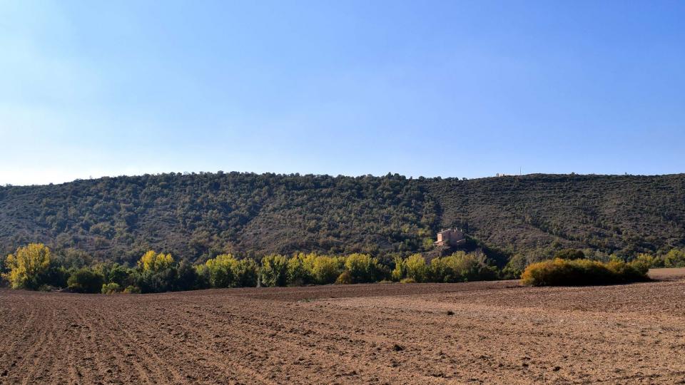 1 de Novembre de 2016 molí del cava  Puig-Arner -  Ramon Sunyer