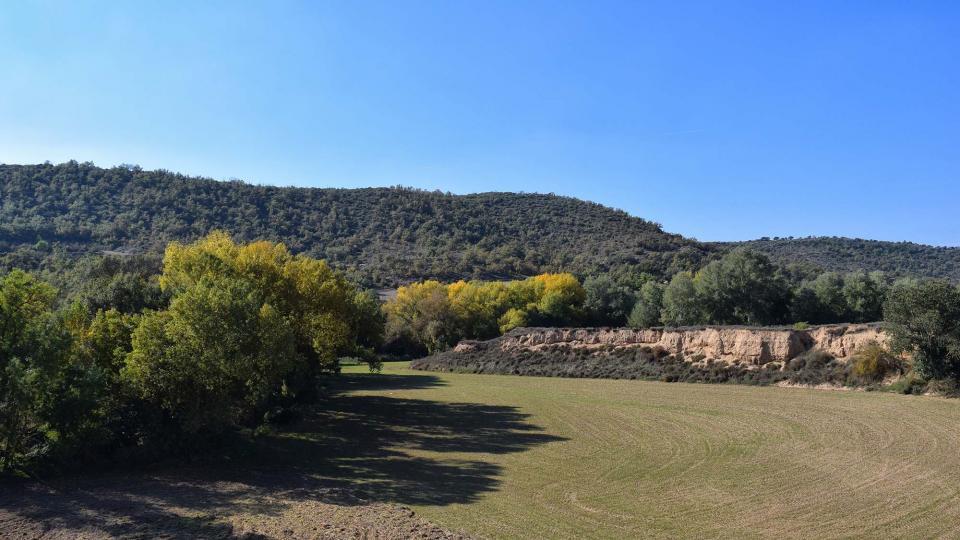 1 de Novembre de 2016 molí del cava  Puig-Arner -  Ramon Sunyer