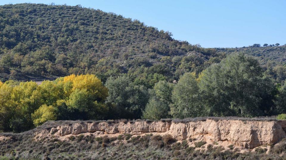 1 de Novembre de 2016 molí del cava  Puig-Arner -  Ramon Sunyer