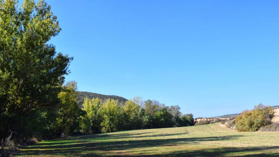 1 de Novembre de 2016 molí del cava  Puig-Arner -  Ramon Sunyer