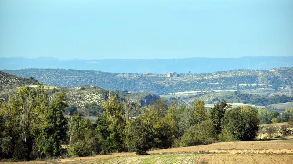 1 de Novembre de 2016 El Llobregós  Ribelles -  Ramon Sunyer