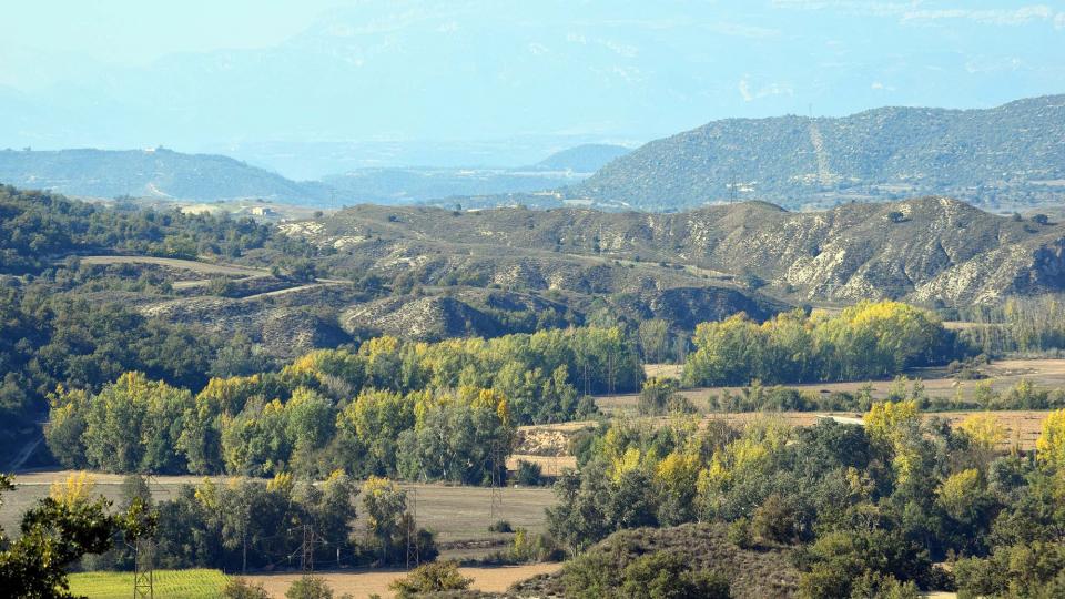 1 de Novembre de 2016 El Llobregós  Ribelles -  Ramon Sunyer