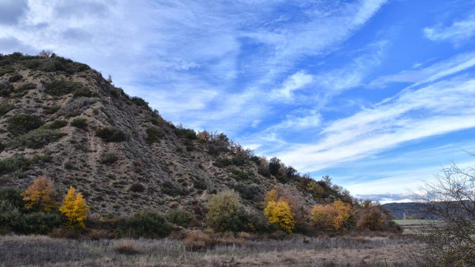 27 de Novembre de 2016 Empalous  Torà -  Ramon Sunyer