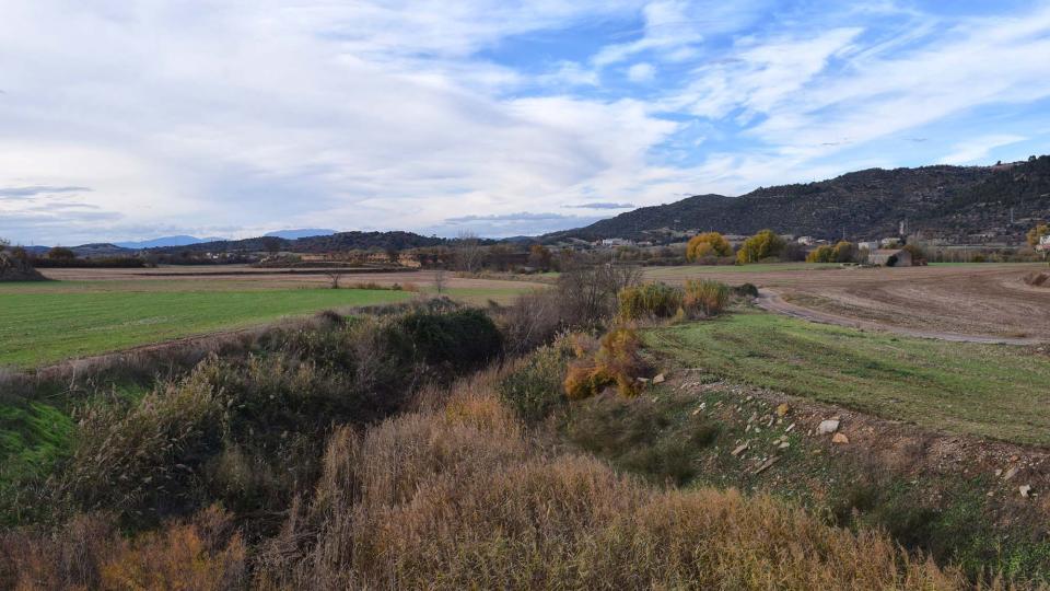 27 de Novembre de 2016 El Llobregós  Torà -  Ramon Sunyer