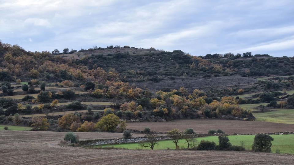 27 de Novembre de 2016 sembrats  Palouet -  Ramon Sunyer