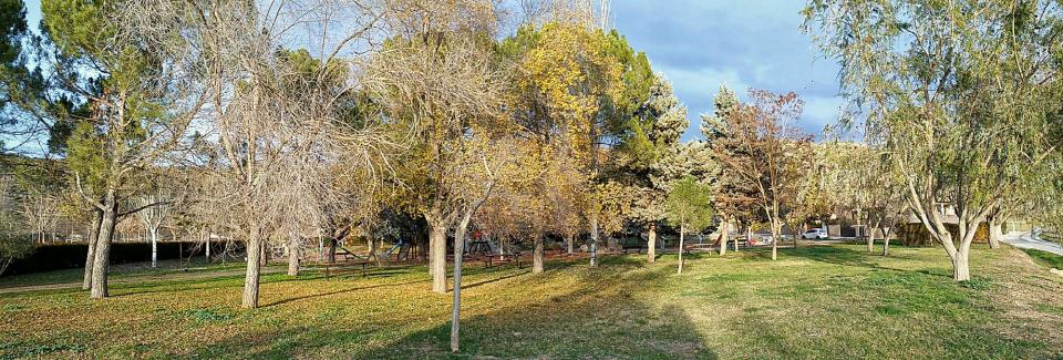 4 de Desembre de 2016 parc  Torà -  Ramon Sunyer