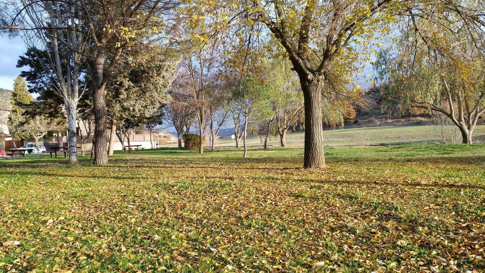 4 de Desembre de 2016 parc  Torà -  Ramon Sunyer