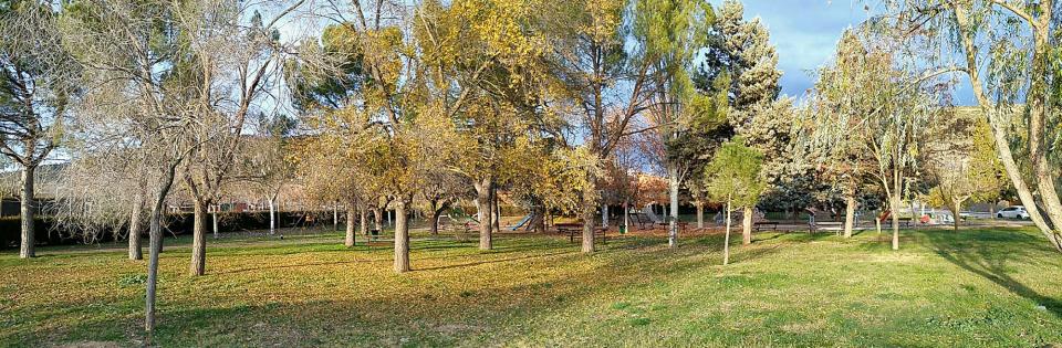 4 de Desembre de 2016 parc  Torà -  Ramon Sunyer