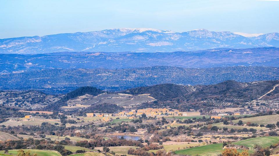 8 de Desembre de 2016   Palouet -  Ramon Sunyer