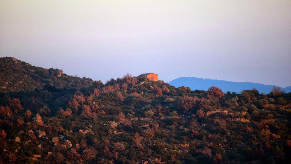 8 de Desembre de 2016 Sant Donat des de l'Aguda  Torà -  Ramon Sunyer