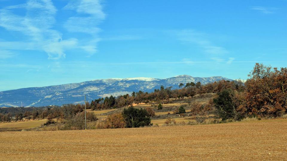 11 de Desembre de 2016 paisatge  Llobera -  Ramon Sunyer