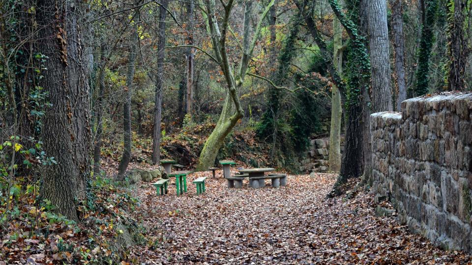 11 de Desembre de 2016 Font del Ferro  Sanaüja -  Ramon Sunyer