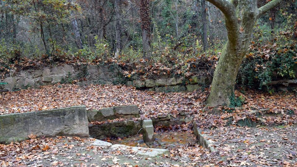 11 de Desembre de 2016 Font del Ferro  Sanaüja -  Ramon Sunyer