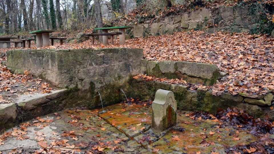 11 de Desembre de 2016 Font del Ferro  Sanaüja -  Ramon Sunyer