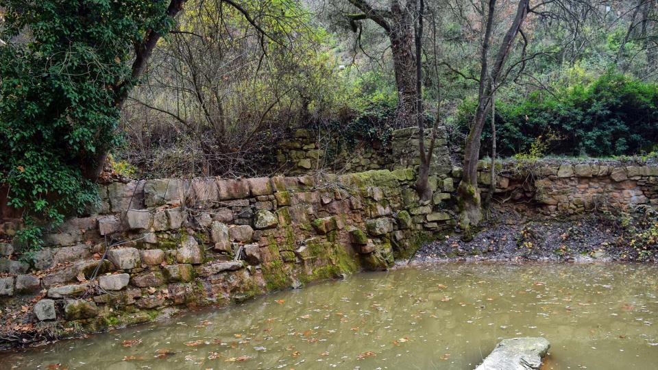 11 de Desembre de 2016 Font del Ferro  Sanaüja -  Ramon Sunyer