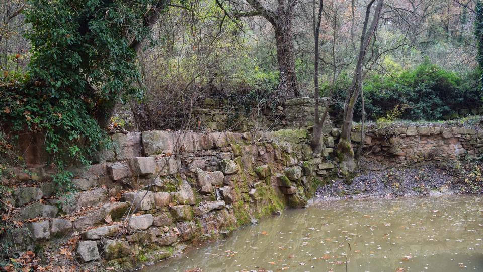 11 de Desembre de 2016 Font del Ferro  Sanaüja -  Ramon Sunyer