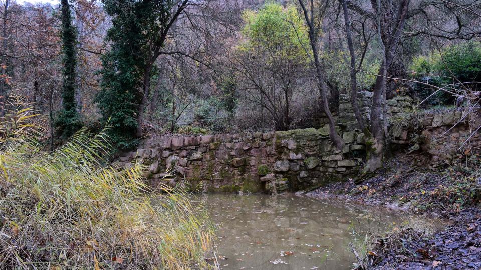 11 de Desembre de 2016 Font del Ferro  Sanaüja -  Ramon Sunyer