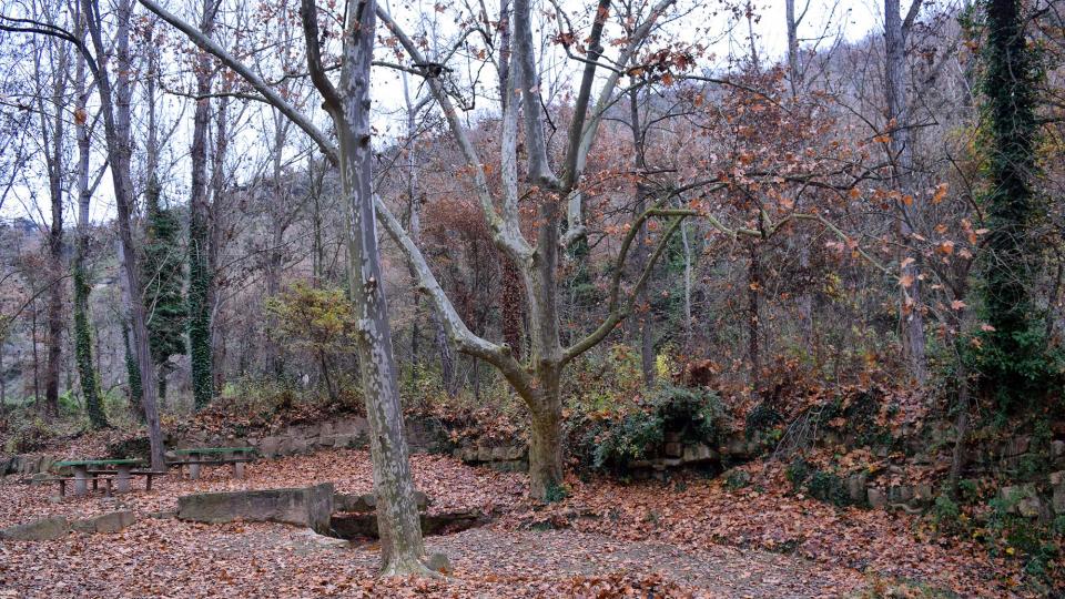 11 de Desembre de 2016 Font del Ferro  Sanaüja -  Ramon Sunyer