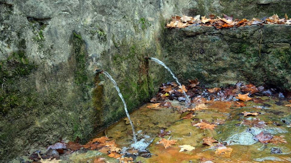 11.12.2016 Font del Ferro  Sanaüja -  Ramon Sunyer