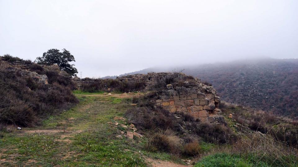 11.12.2016 castell  Sanaüja -  Ramon Sunyer