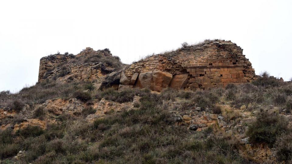 11 de Desembre de 2016 castell  Sanaüja -  Ramon Sunyer