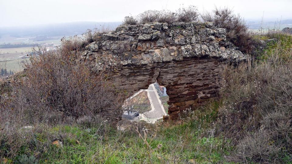 11 de Desembre de 2016 castell  Sanaüja -  Ramon Sunyer