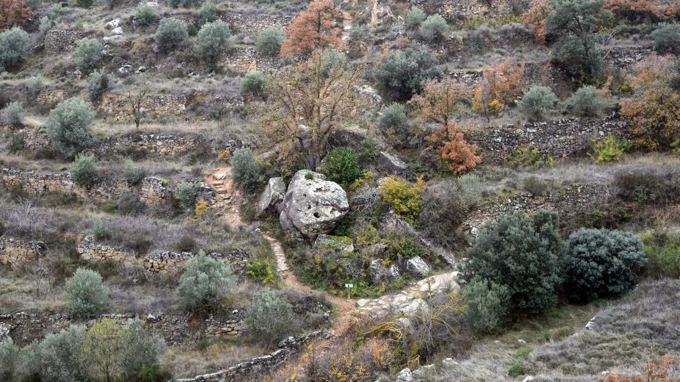 11 de Desembre de 2016 Camí dels Escots  Sanaüja -  Ramon Sunyer