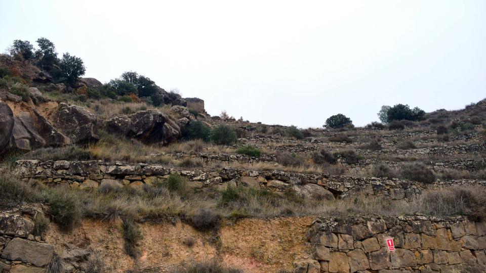 11 de Desembre de 2016 castell  Sanaüja -  Ramon Sunyer