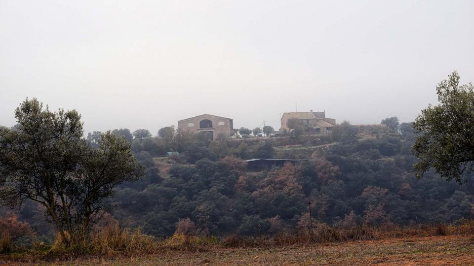 11 de Desembre de 2016 mas  Lloberola -  Ramon Sunyer