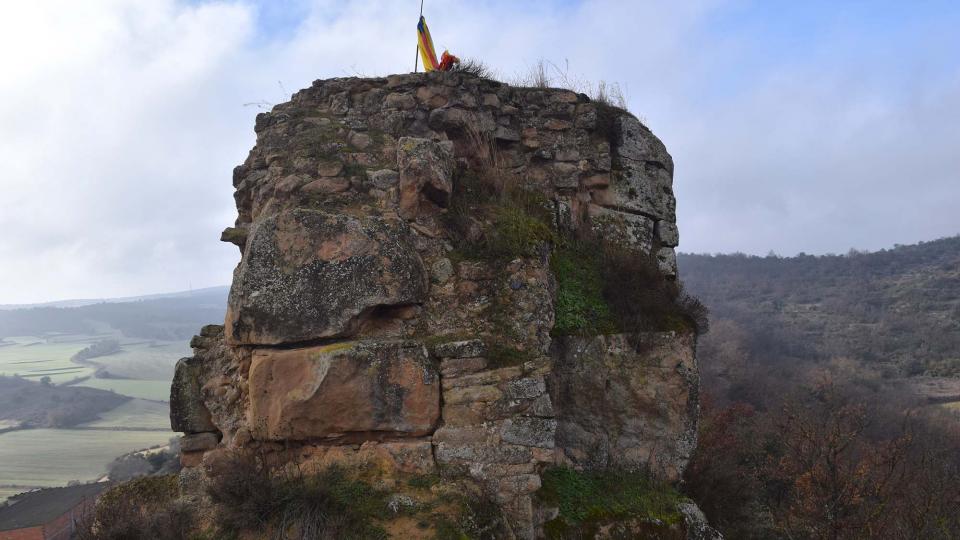 Castell de  Oliola - Autor Ramon Sunyer (2017)