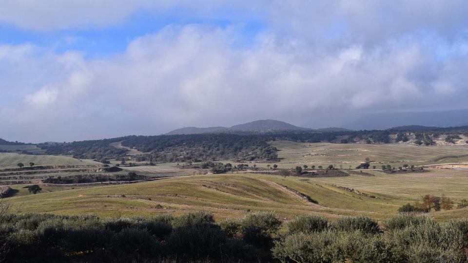 5 de Gener de 2017 paisatge  Claret d'Oliola -  Ramon Sunyer