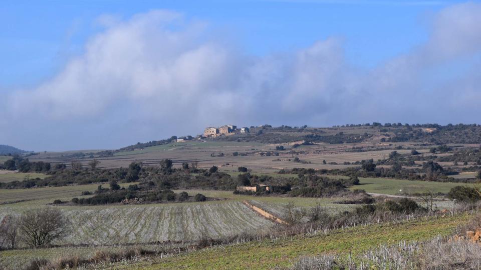 5 de Gener de 2017   Claret d'Oliola -  Ramon Sunyer