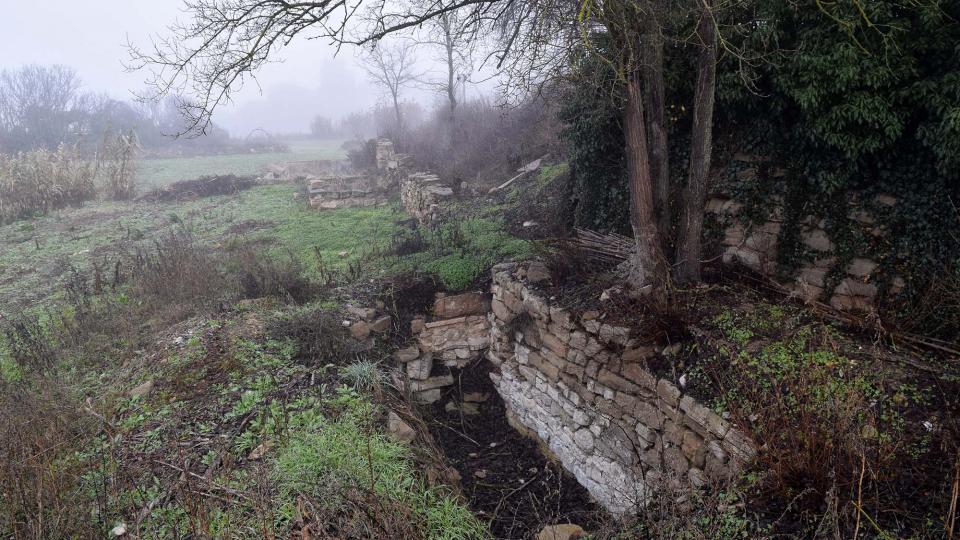 31 de Desembre de 2016 Font de la Puig  Massoteres -  Ramon Sunyer