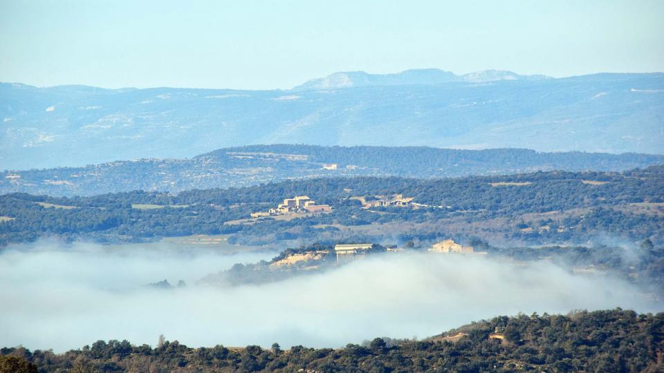 31 de Desembre de 2016   Lloberola -  Ramon Sunyer