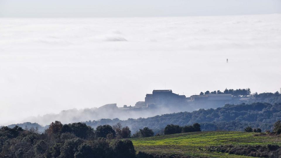 31.12.2016 Mas xoriguera  Biosca -  Ramon Sunyer