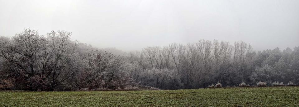 29.12.2016   Calonge de Segarra -  Ramon Sunyer