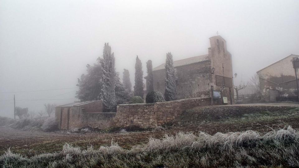 29 de Desembre de 2016   Sant Pere de l'Arç -  Ramon Sunyer