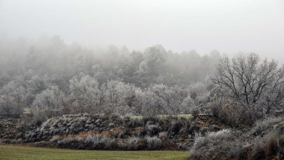 29 de Desembre de 2016   Calonge de Segarra -  Ramon Sunyer