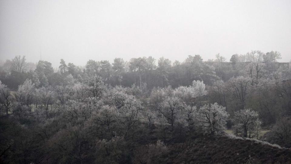 29 de Desembre de 2016   Calonge de Segarra -  Ramon Sunyer