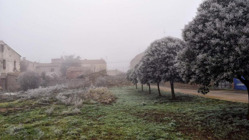 29 de Desembre de 2016   Sant Pere de l'Arç -  Ramon Sunyer