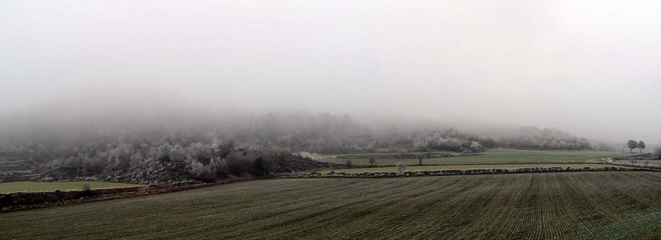 29 de Desembre de 2016   Calonge de Segarra -  Ramon Sunyer