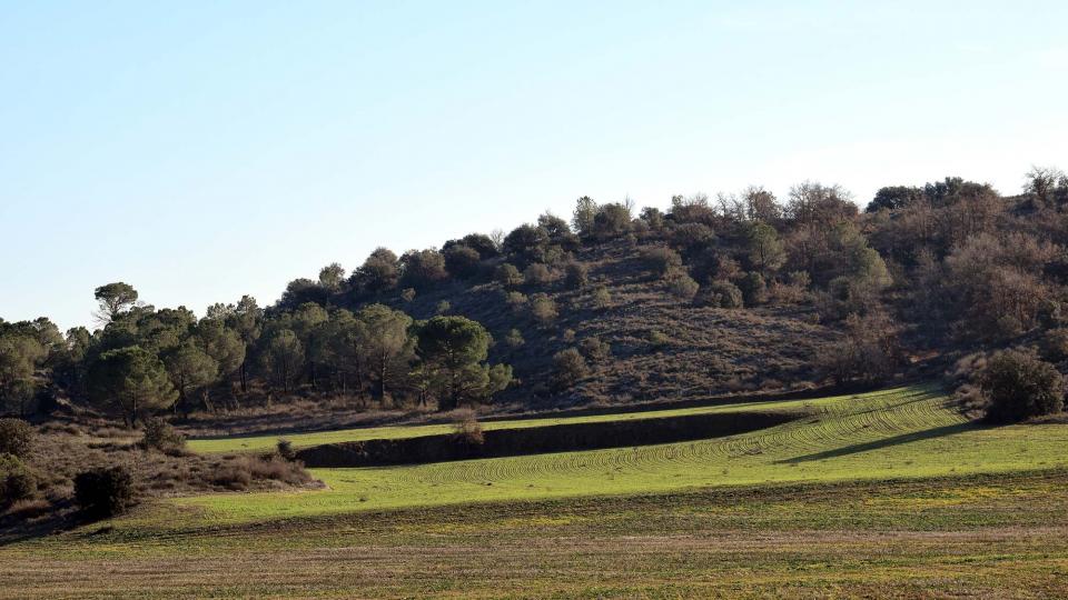 5 de Gener de 2017   Torà -  Ramon Sunyer