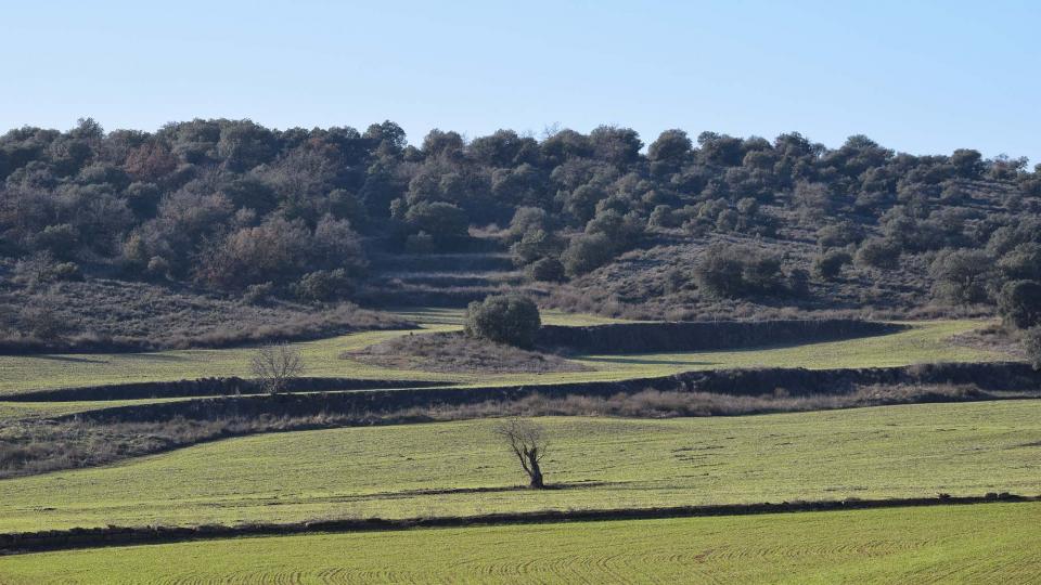 5 de Gener de 2017   Torà -  Ramon Sunyer