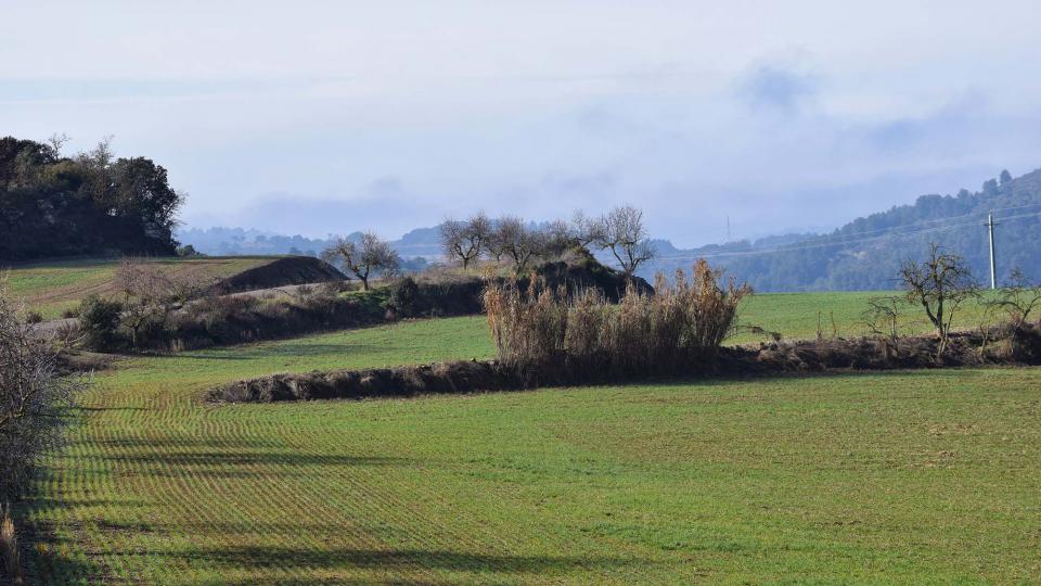 2.1.2017   Calonge de Segarra -  Ramon Sunyer